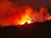 Ηλεία: Πυρκαγιά στο Λιβαδάκι Καλλιθέας- ΦΩΤΟ