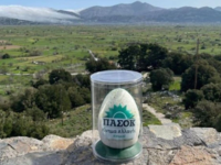 Νίκος Ανδρουλάκης: Το σοκολατένιο αυγό Π...