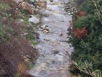 Καιρός-Πάρος: Έβρεχε ασταμάτητα για 18 ώ...