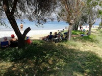 Είχαν ρημάξει τις παραλίες της Αιτωλοακα...