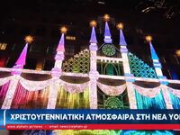 Δείτε την πιο στολισμένη γειτονιά του Μπρούκλιν