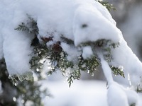Καιρός: Ιανουάριος όπως Ιανός- Στα δύο η...