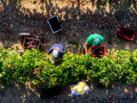 Η απόφαση για την οικονομική ενίσχυση τω...