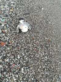 φωτο fb Άγγελος Κωνσταντίνου