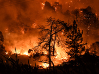 Φωτιά στον Σχίνο: «Είπαμε ο Θεός να μας ...