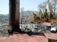 Αγροτικός σύλλογος Αιγίου: Μέτρα στήριξη...