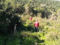 Κάτω Μακρυνού: Τραγικός επίλογος στις αν...