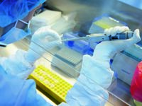 Long Covid: Ένας στους πέντε ενήλικες έω...