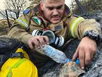 Άκης Μπαρδάκης: Ο πυροσβέστης που έδωσε ...