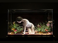 Μust see: Ο Εθνικός Κήπος της μελαγχολικ...