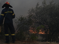 «Ήθελα να καθαρίσω τα ξερά χόρτα» - Στον...