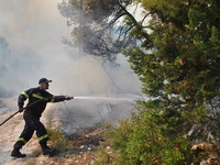 ΤΩΡΑ: Φωτιά στα Σαγέικα Δυτικής Αχαΐας, ...