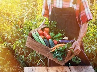 ΕΕ: Ψηλά στην «ατζέντα» λιπάσματα και επ...