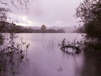 Και μετά τις γιορτές έρχεται η Blue Monday