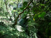 Περιπατητές εγκλωβίστηκαν στον Ερύμανθο 