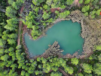 Μαυροσουβάλα: Από ψηλά η όμορφη φυσική λ...