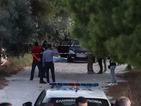 Συναγερμός στην Λούτσα Αττικής: Αιματηρό...