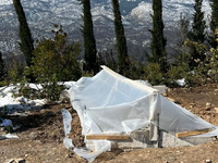 Τέως βασιλιάς Κωνσταντίνος: Πάνω από 200...