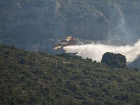 Άγιο Όρος: Μαίνεται η πυρκαγιά στο ακρωτ...