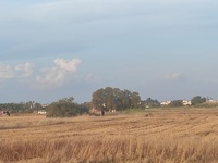 Κως: Σε τι κατάσταση φέρεται να βρέθηκε ...