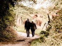 Περπάτημα, ύπνος και υγιεινή διατροφή χα...