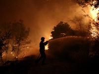 Στάχτη 150 στρέμματα στα Τσαμέικα Δυτική...