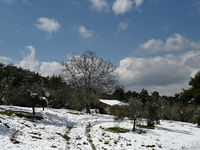 Μερομήνια: Με τι καιρό θα κάνουμε Χριστο...