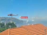 Φωτιά στην Κεφαλονιά: Μέσα στο χωριό Καπανδρίτι οι φλόγες- ΦΩΤΟ & ΒΙΝΤΕΟ Φωτιά στην Κεφαλονιά: Μέσα στο χωριό Καπανδρίτι οι φλόγες- ΦΩΤΟ & ΒΙΝΤΕΟ