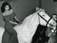 Η Νέα Υόρκη περιμένει να ξανανοίξει η έκ...