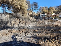 Το thebest.gr στα καμένα της Κορινθίας- ...