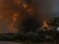 Φωτιές: Νύχτα κόλαση! Λαίλαπα σε Νέα Αρτ...