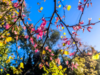 Καιρός το Πάσχα: Ανεβαίνει ο υδράργυρος,...