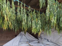 Δυτ. Ελλάδα: Συνελήφθησαν δυο διακινητές...