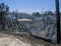 Δήμος Πατρέων: Πιστώθηκαν χρήματα στους ...