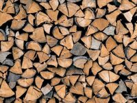 Οι Ευρωπαίοι στο… «κυνήγι» των καυσόξυλων