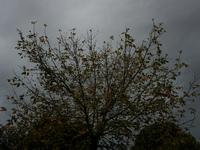 Κακοκαιρία για 48 ώρες: Από τα βορειοδυτ...