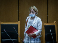 Δίκη Χρυσής Αυγής- Συνήγοροι Πολιτικής Α...