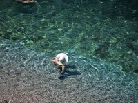 Καιρός: Στην Αιτωλοακαρνανία καταγράφηκε...