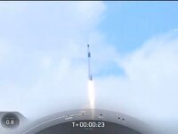 Σπόροι ελιάς από τα δένδρα της Αρχαίας Ο...