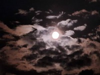 Μαγικές εικόνες στην Πάτρα με την πανσέλ...