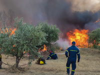Φωτιά Αρχαία Ολυμπία: Συνεχίζουν για δεύ...
