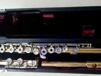 Της έκλεψαν χρυσό φλάουτο αξίας 25.000 ε...