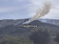 Φωτιά στον Νέο Ερινεό Αχαΐας