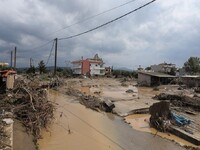Ανείπωτη τραγωδία στην Εύβοια: Νεκρό και...