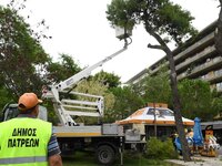 Πάτρα: Κλάδεμα δένδρων σε Παπαφλέσσα, πλ...