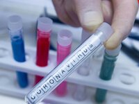 Βασιλακόπουλος: Έρχεται νέο εμβόλιο για ...