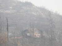 Φωτιά στον Έβρο: Πάνω από 935.000 στρέμμ...