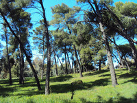 Πάτρα: Δείτε σε ποια σημεία απαγορεύεται...