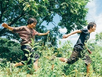 Κινηματογραφική Λέσχη Πάτρας: Προβάλλει ...