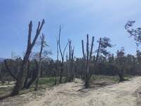 Παρέμβαση του σπιράλ για το έλος της Αγυιάς